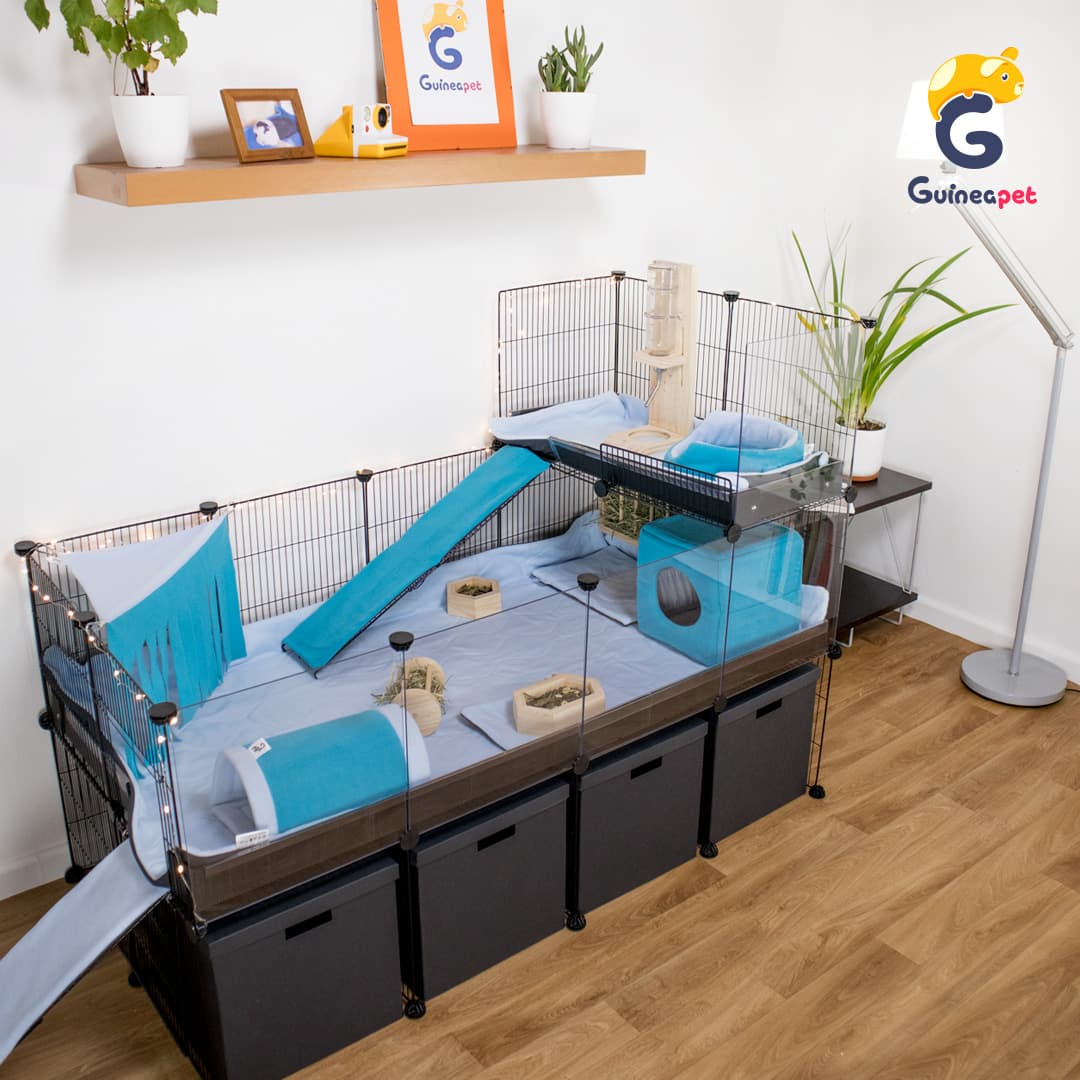 C&C Guineapet enclosure cage home with Guineapet liners, pee pads, bedding, fleece forest, tunnel, cube, rolling hay feeder, wooden bowl, bottle stand and cuddle cup in a home.