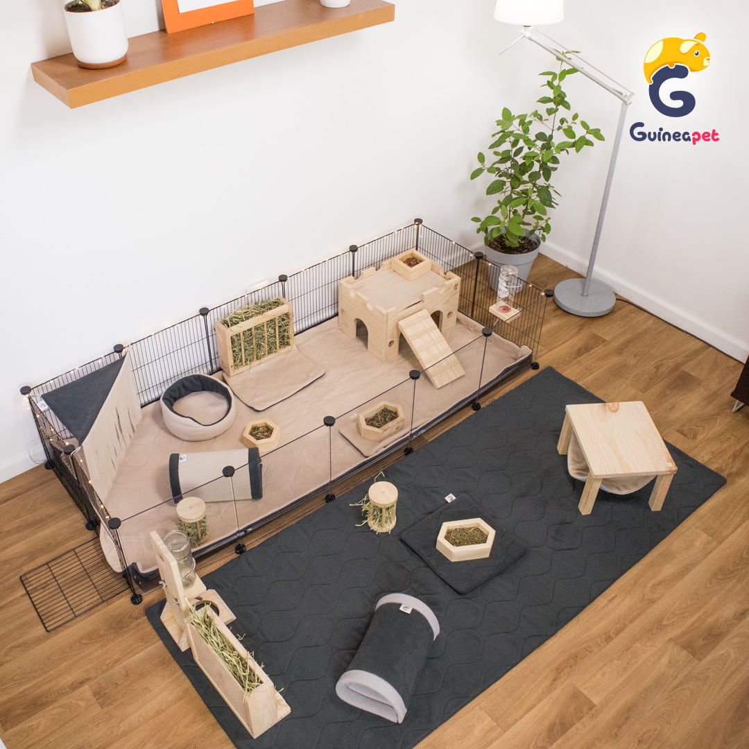 C&C Guineapet transparent enclosure cage home with Guineapet liners, pee pads, bedding, fleece forest, tunnel, cube, rolling hay feeder, wooden bowl, bottle stand, cuddle cup, hay feeder, wooden hammock in a home with wooden floor, and plants.