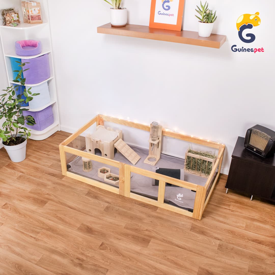 2x4 enceinte en bois