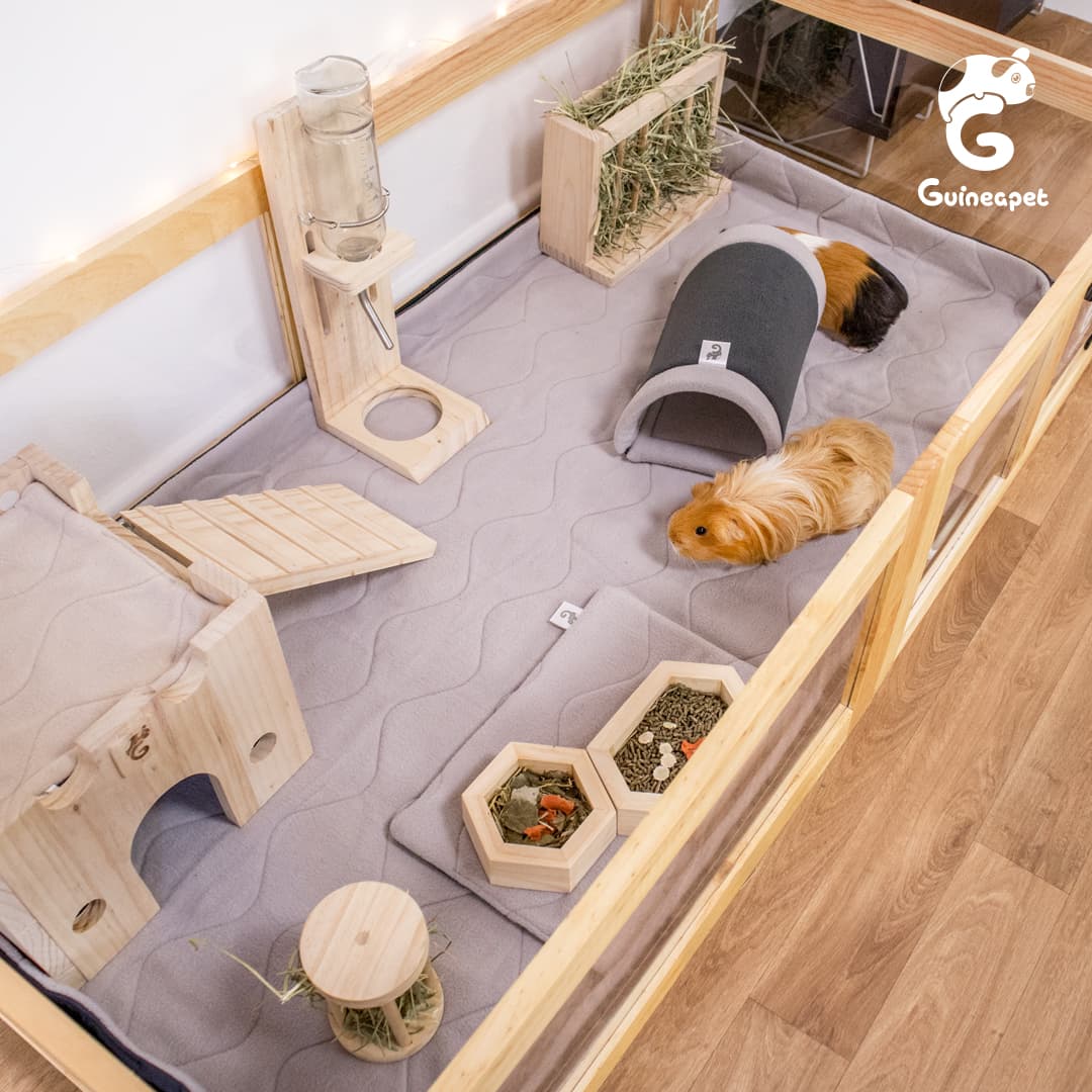 2x4 enceinte en bois