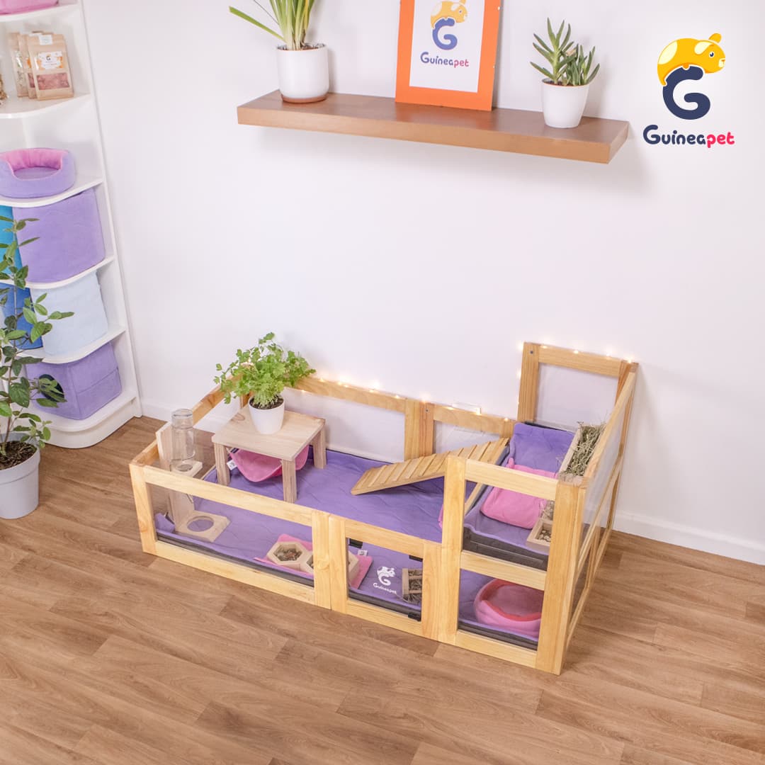 Enceinte en bois 2x4 avec loft