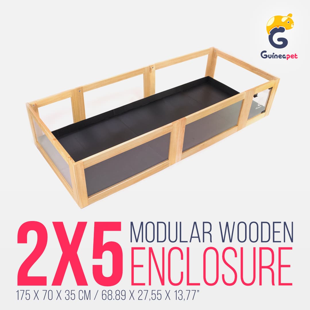 Enceinte en bois 2X5