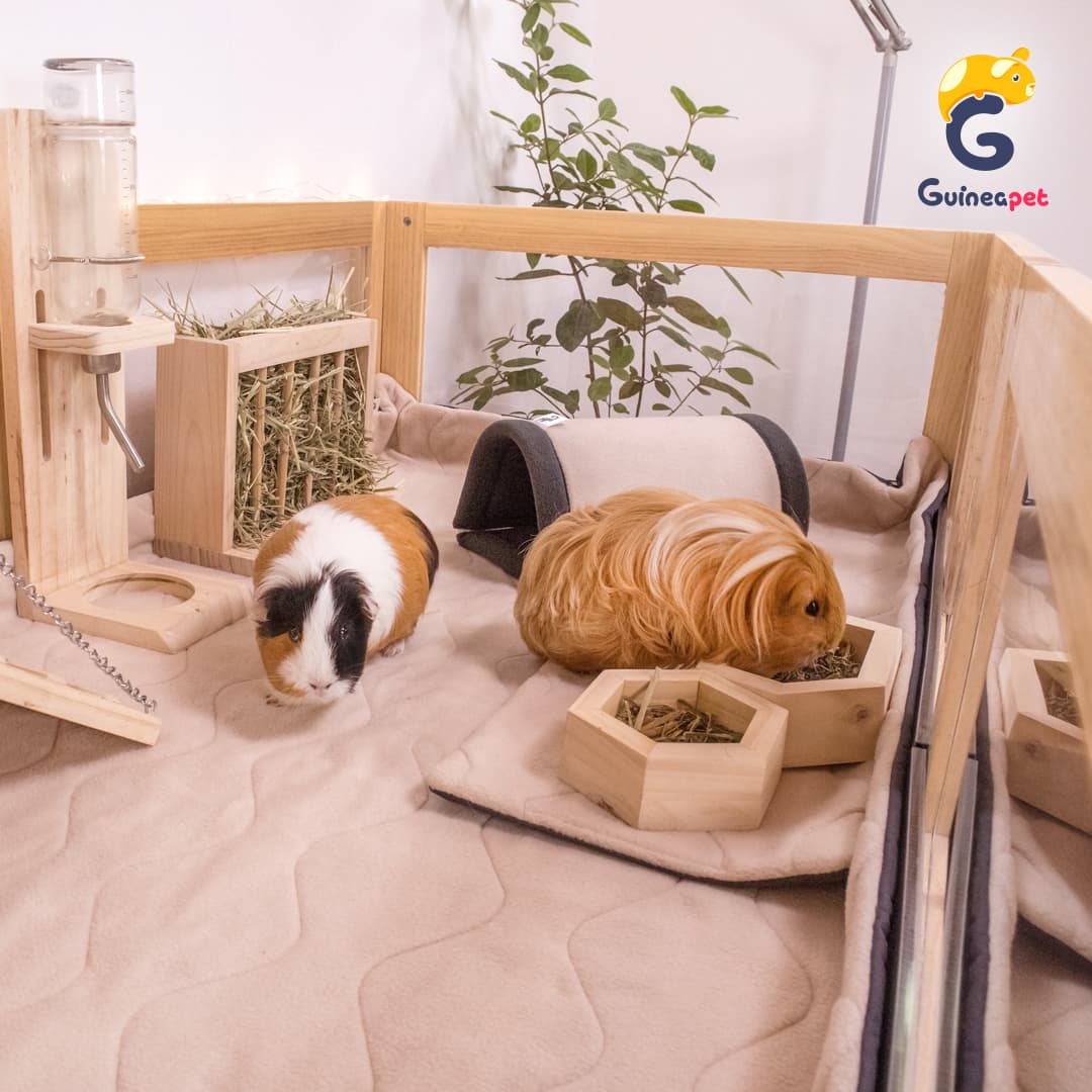 Enceinte en bois 2X5