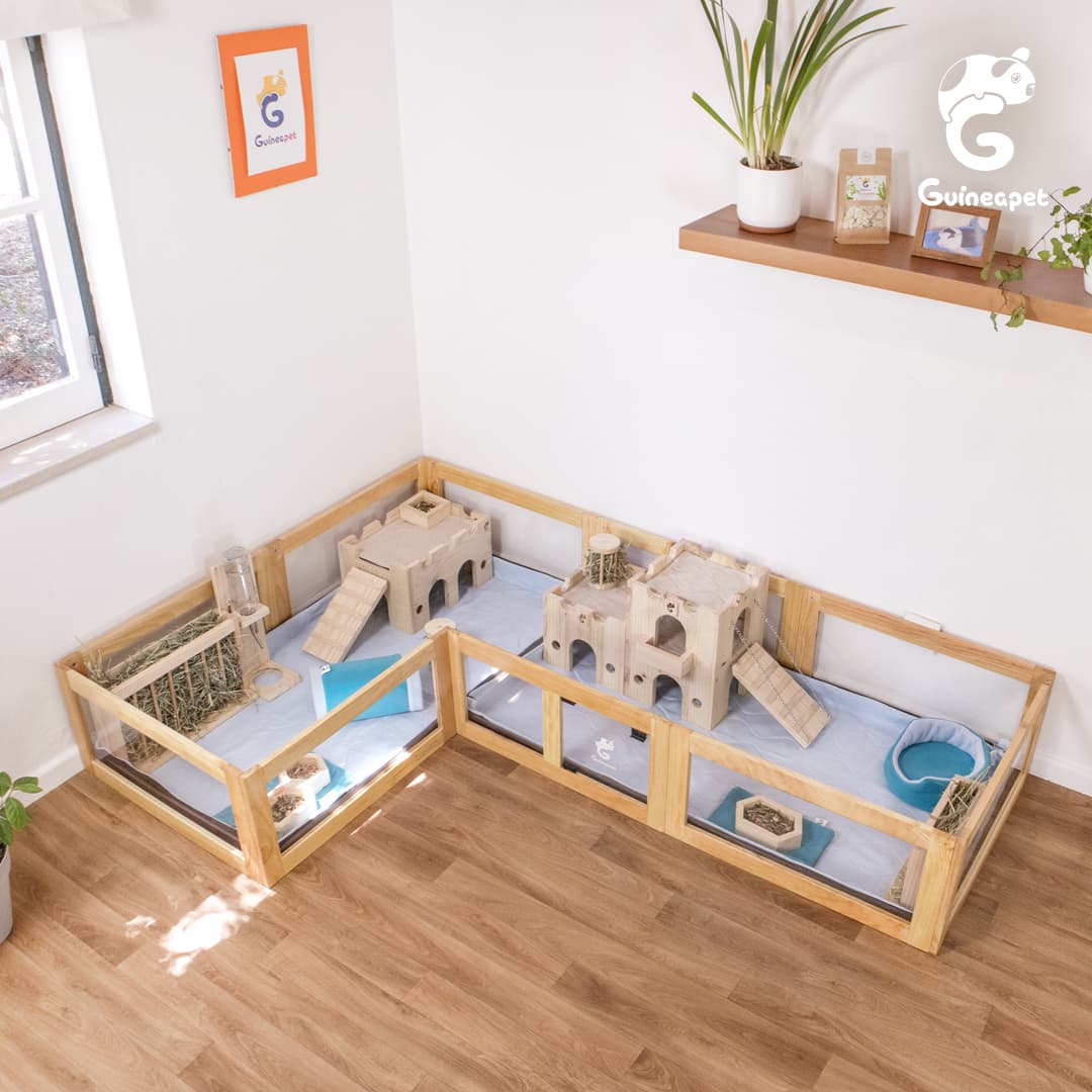 2x8 Enclos en bois