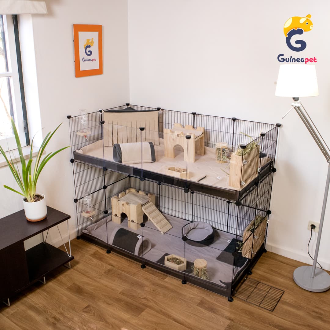 Double 2X4 Transparent <tc>C&C</tc> Enceinte