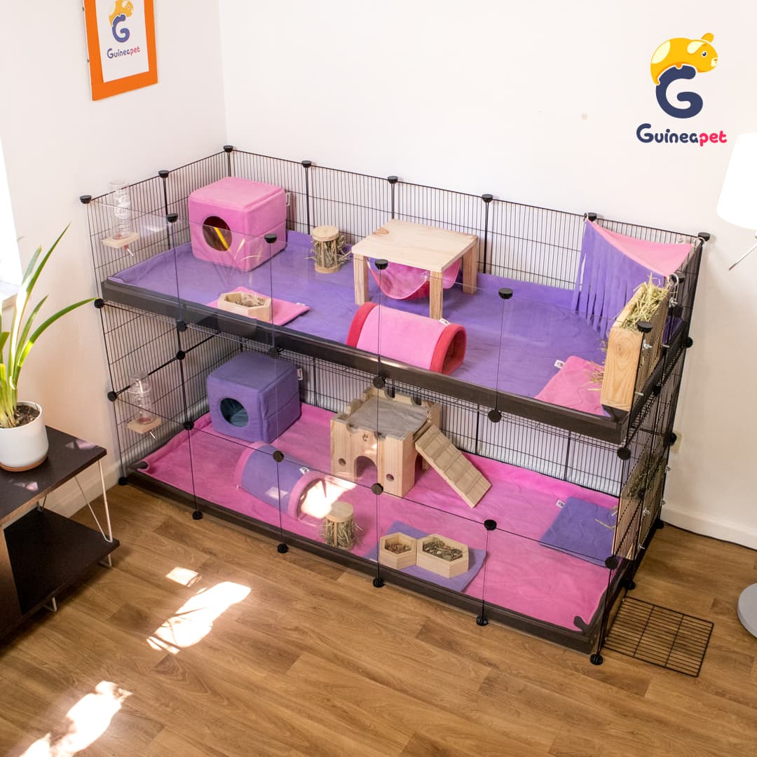 Doppia custodia C&C trasparente 2X5