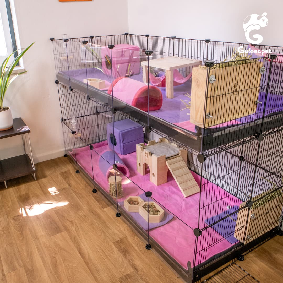 Double 2X5 Transparent C&C Enclosure