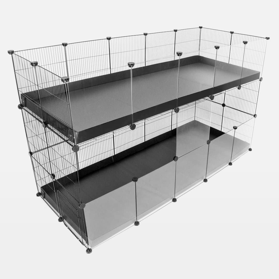 Doppia custodia C&C trasparente 2X5