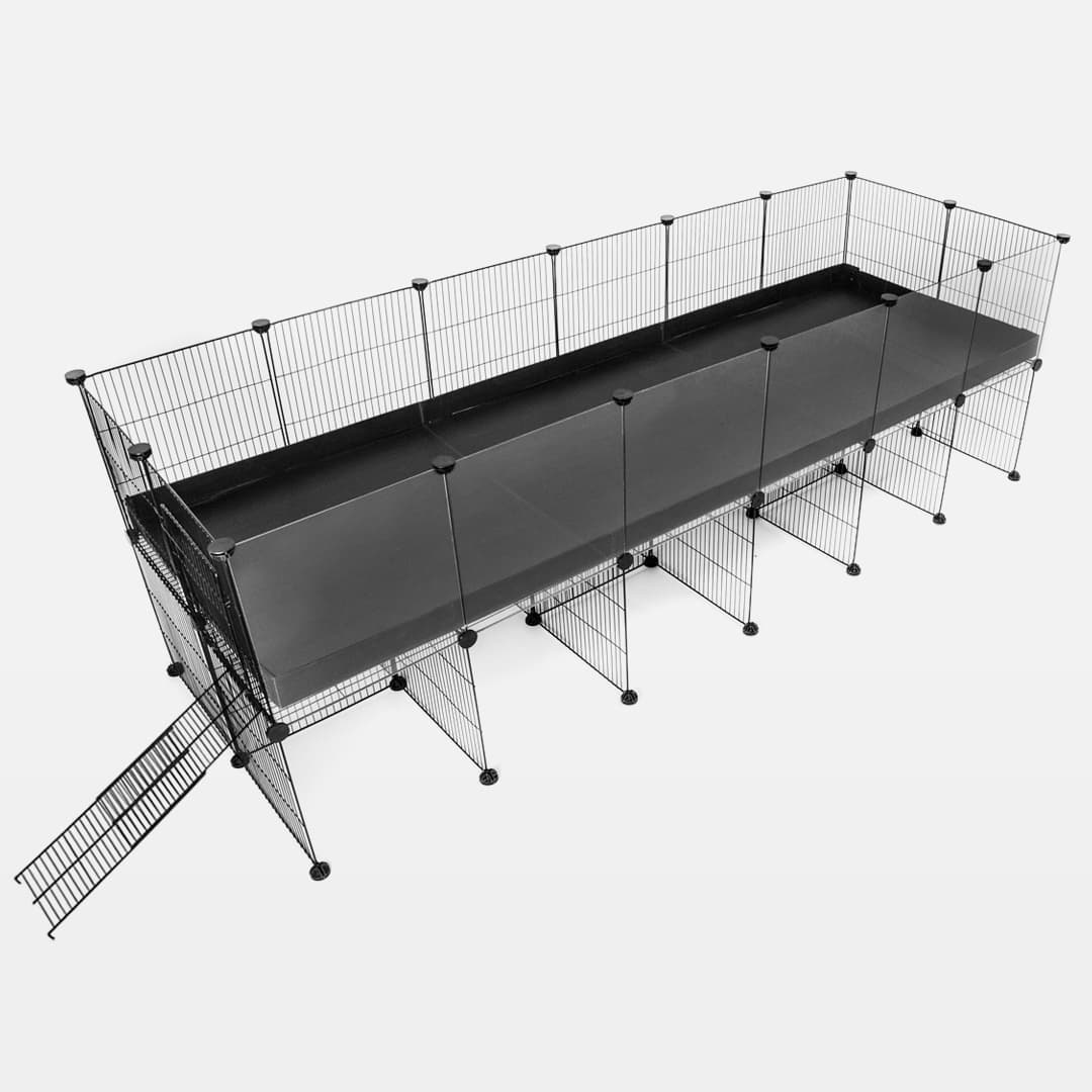 Boîtier transparent <tc>C&C</tc> 2X6 avec support