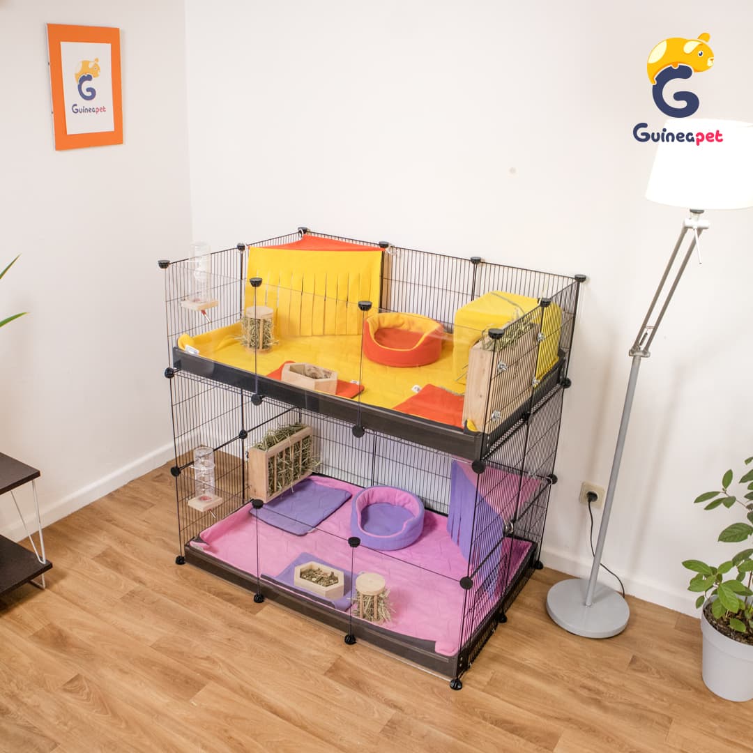 Double 2X3 Transparent C&C enclosure