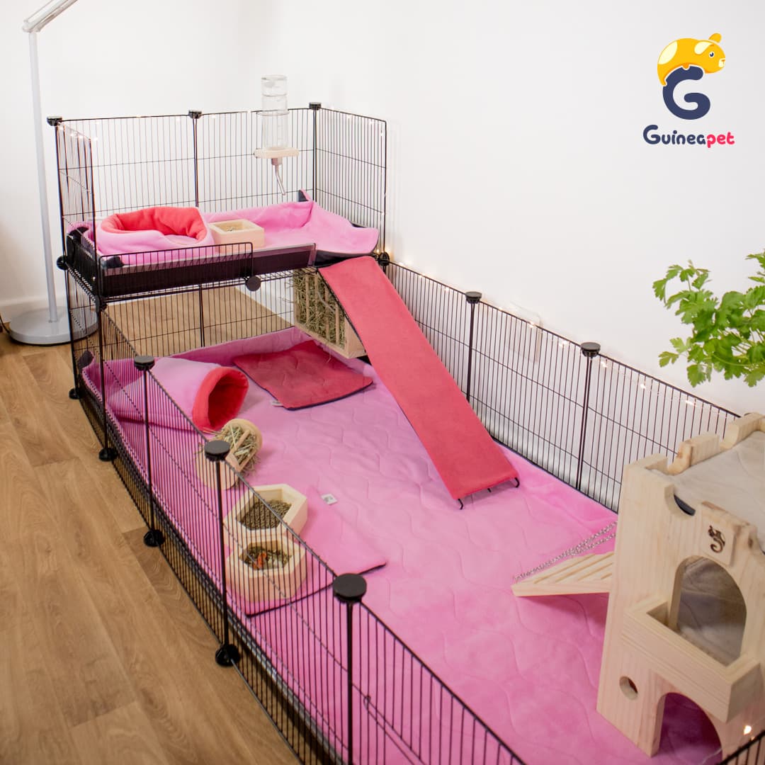 Kit Loft pour <tc>Guineapet</tc> <tc>C&C</tc> enceintes