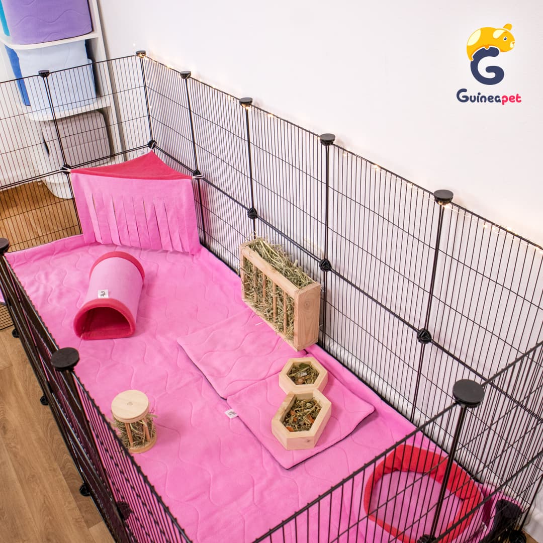 Recinto C&C 2X5 per conigli