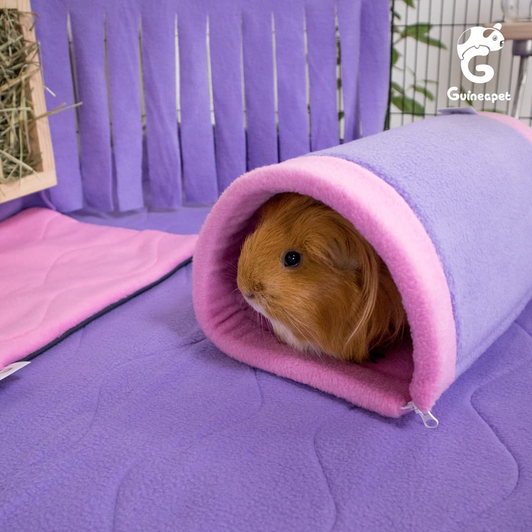 2X5 <tc>C&C</tc> Boîtier avec support