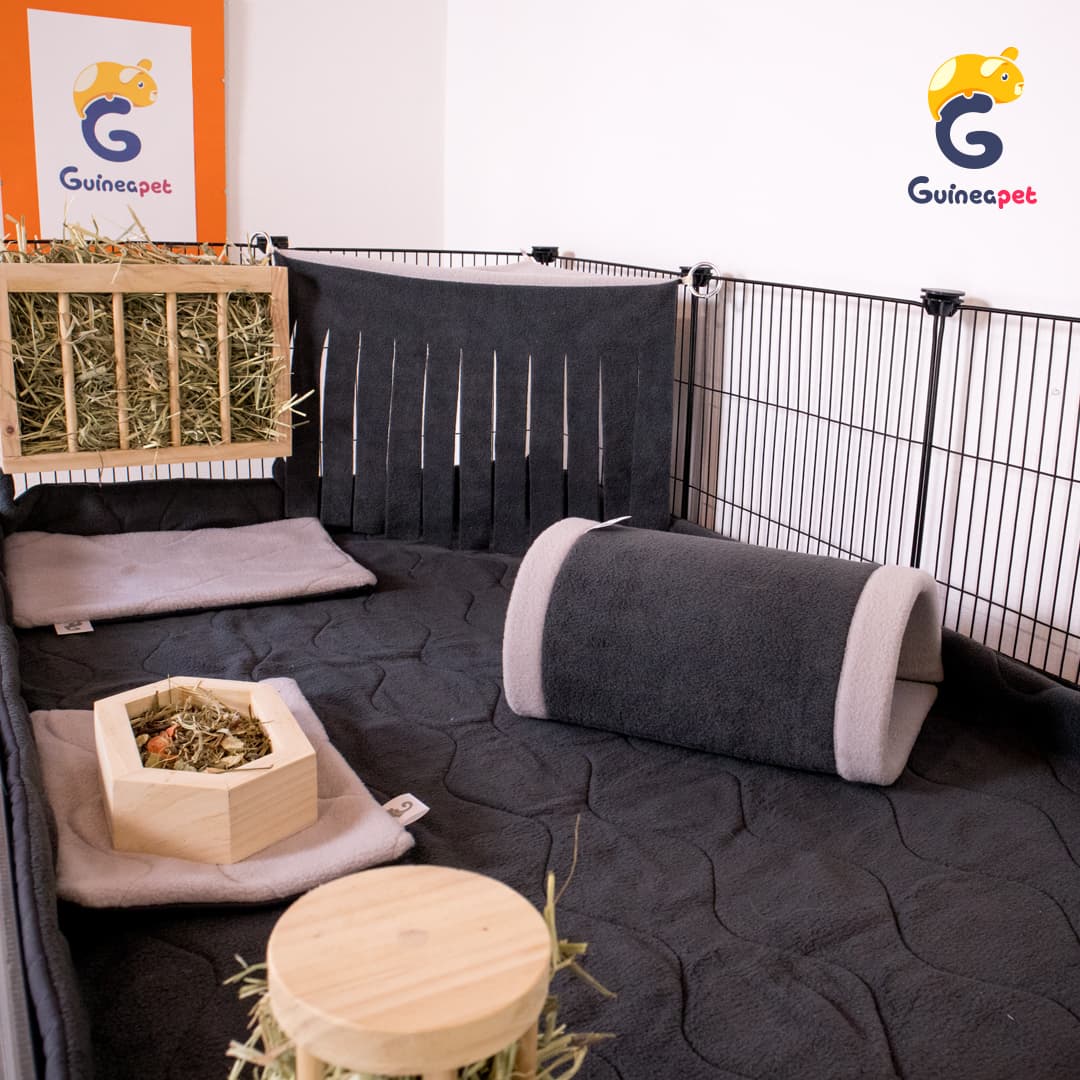 Double 2X4 <tc>C&C</tc> Boîtier avec support