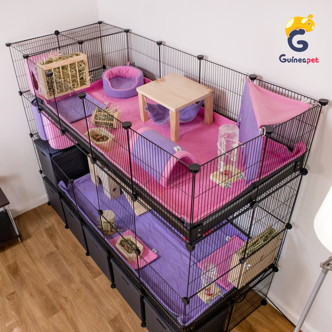 Double 2X4 <tc>C&C</tc> Enceinte avec support et rangement