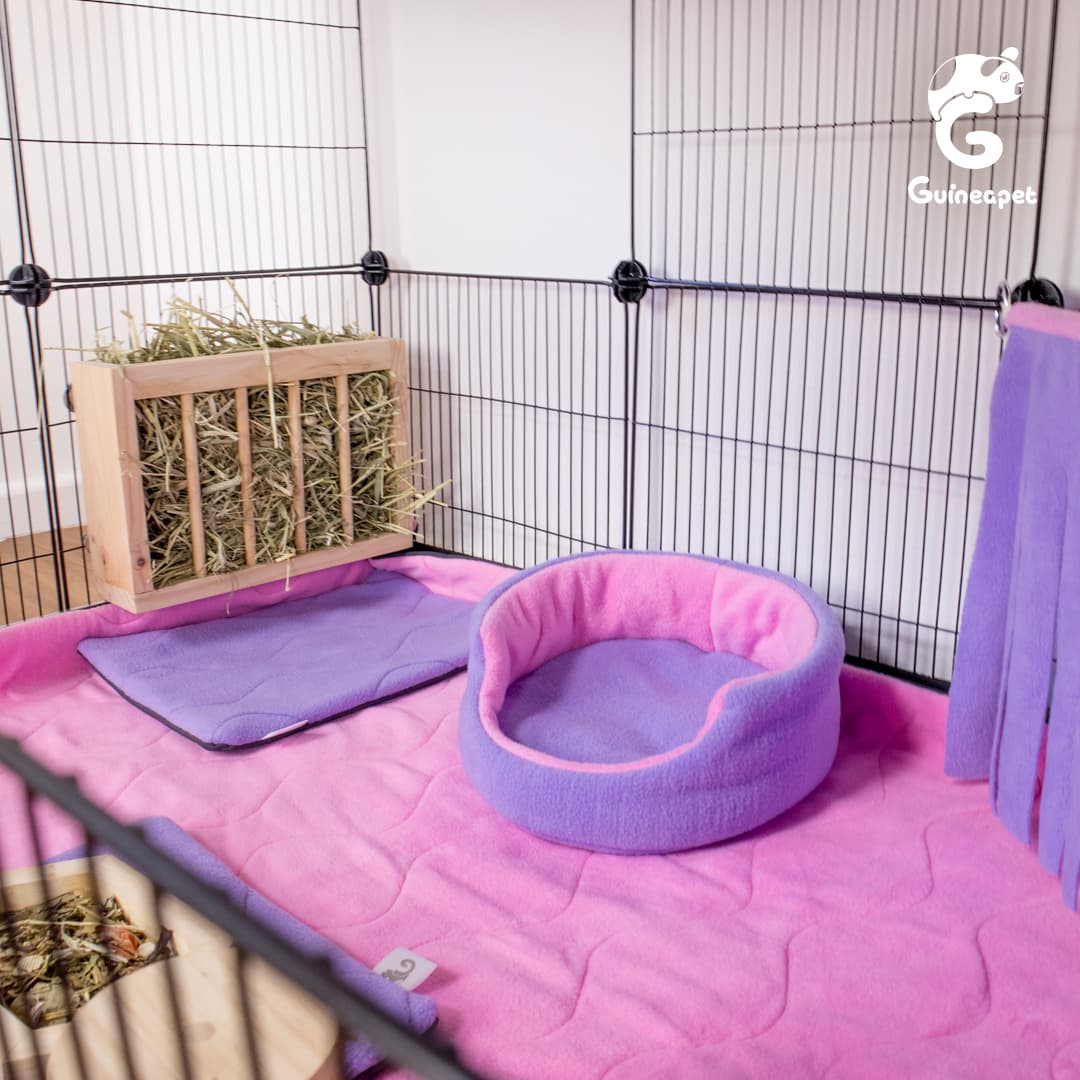 Double 2X3 <tc>C&C</tc> Enceinte