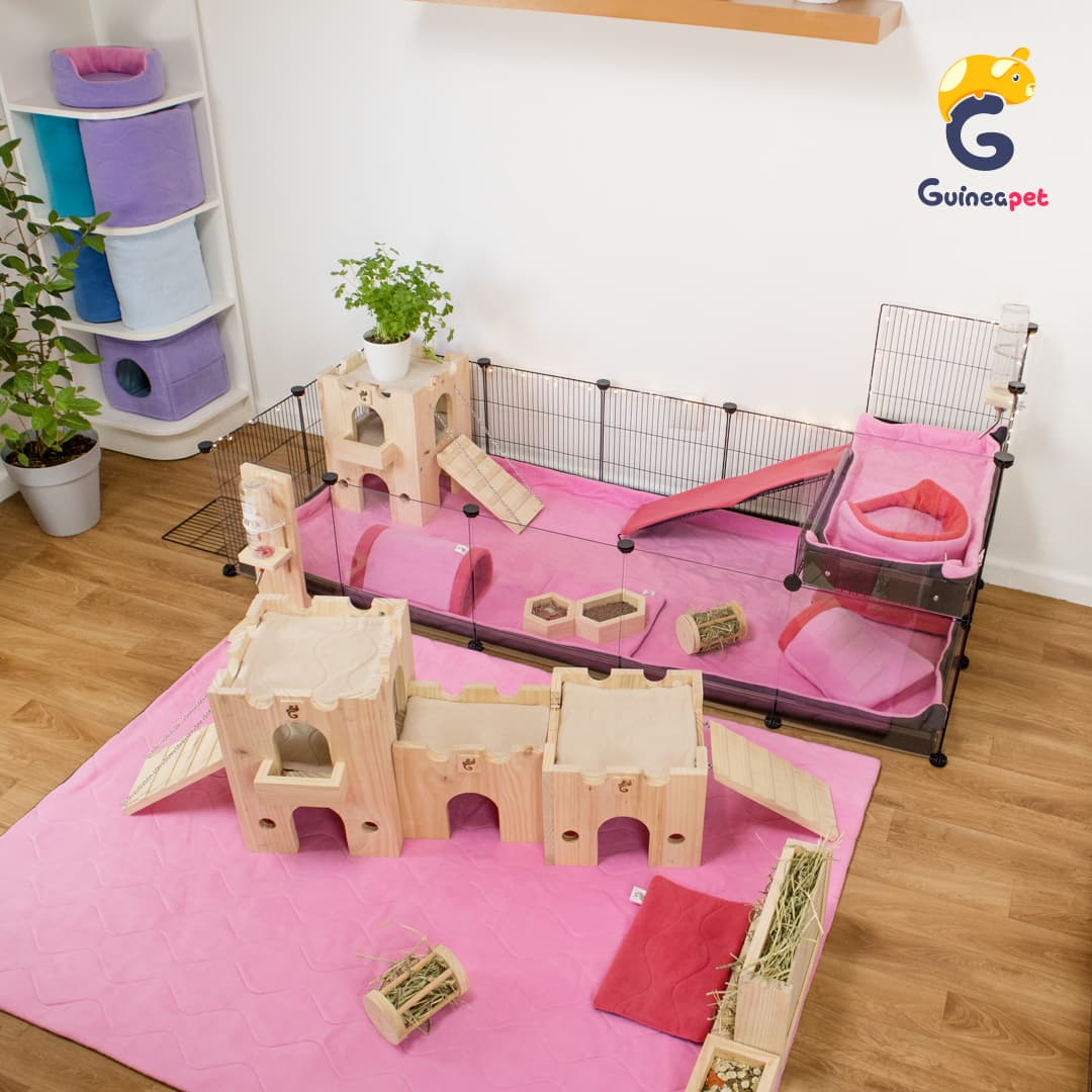 Kit Loft per custodie C&C trasparenti