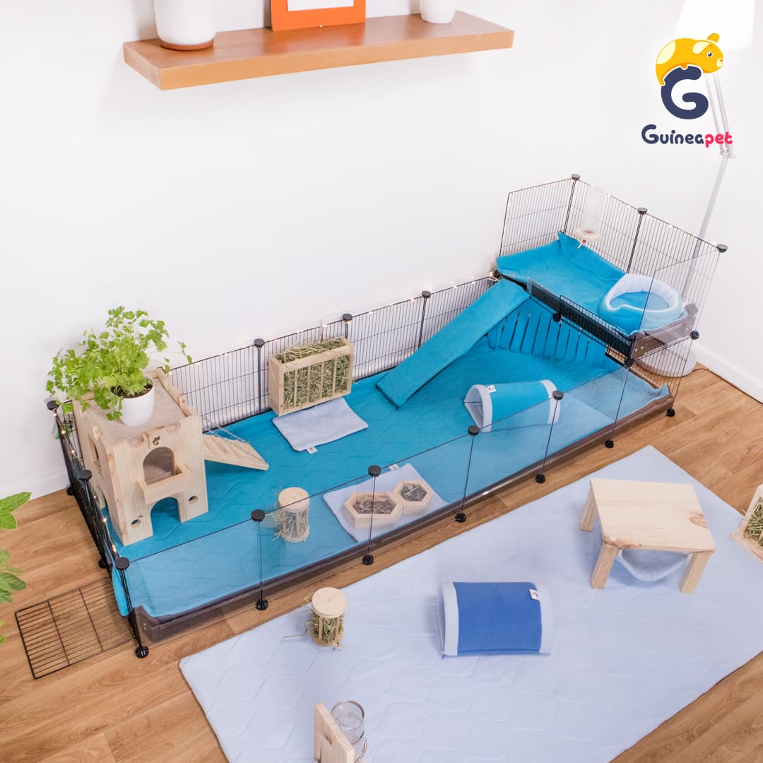Gaiola C&C Transparente 2X6 com Loft