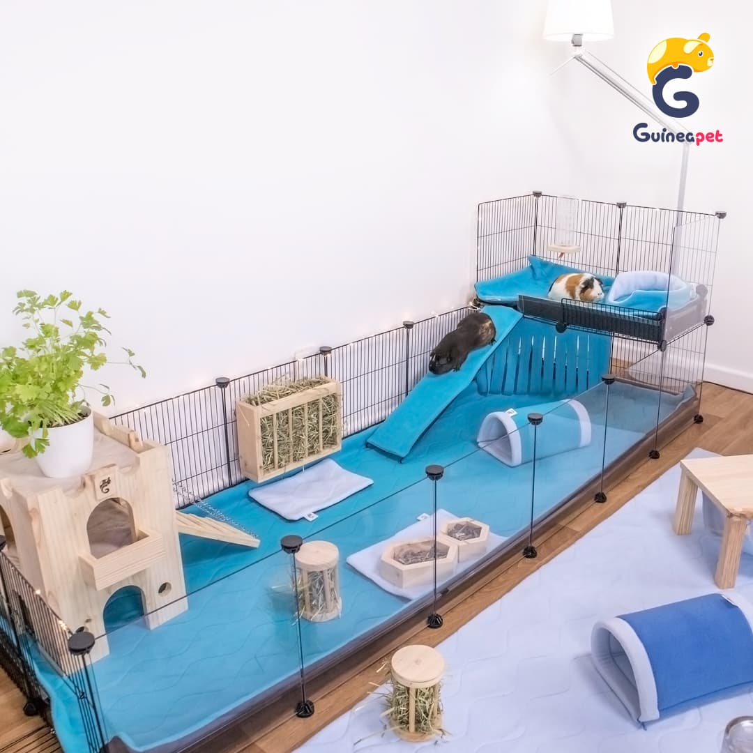 Gaiola C&C Transparente 2X6 com Loft
