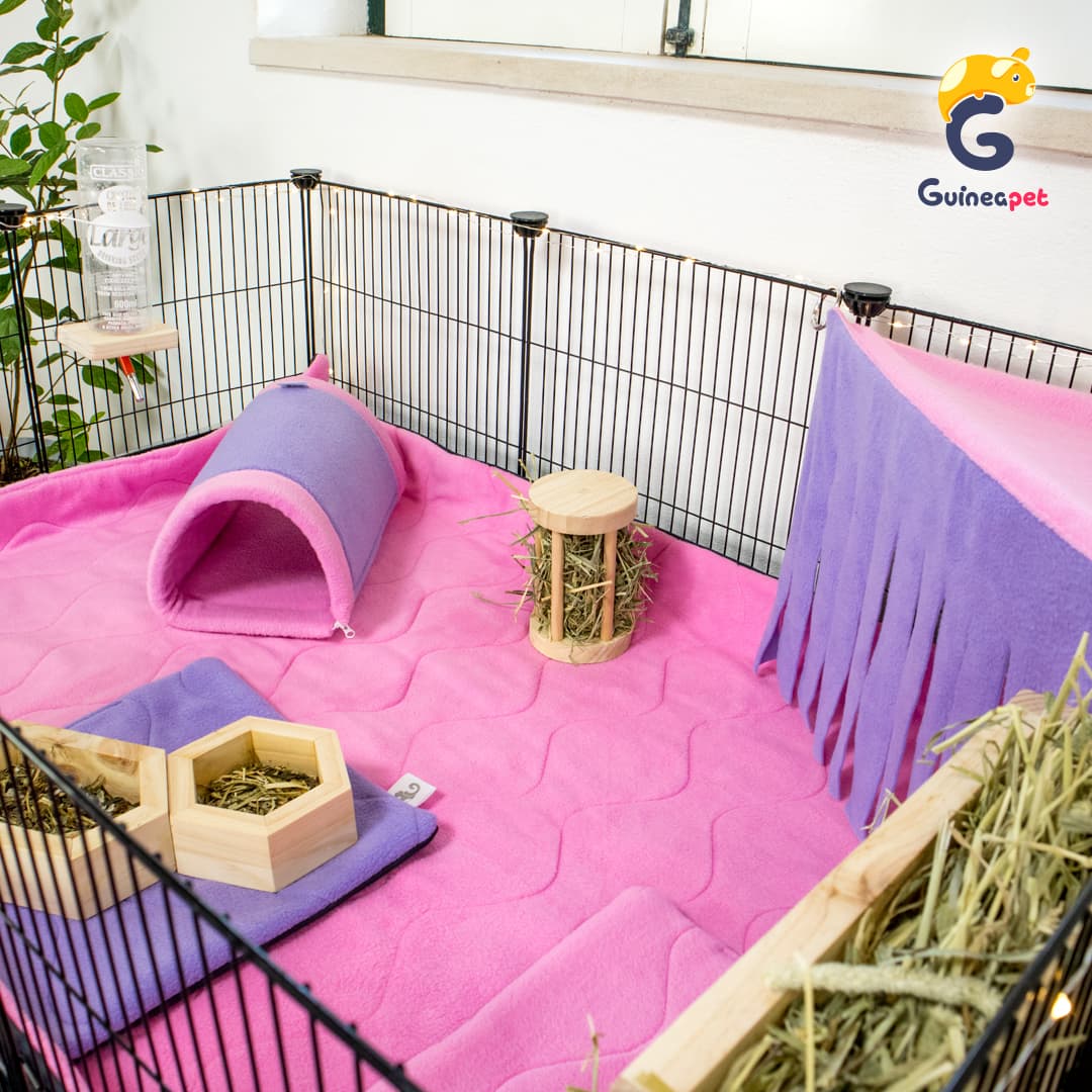 2X3 C&C Enclosure with Stand