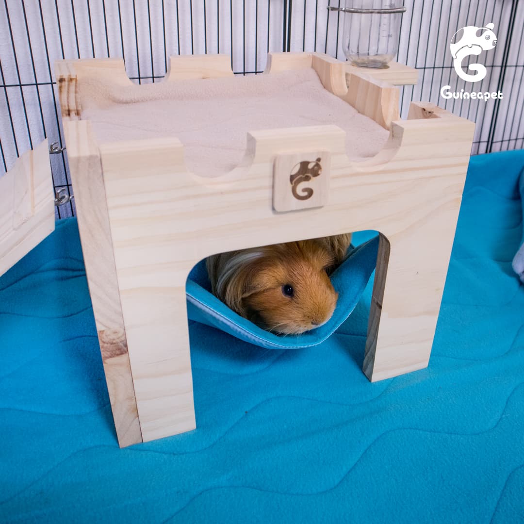 2X3 <tc>C&C</tc> Enceinte avec support et mezzanine