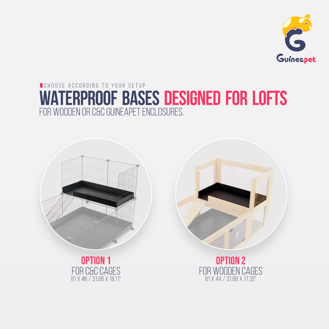 Coroplast / Correx lofts for Guineapet enclosures