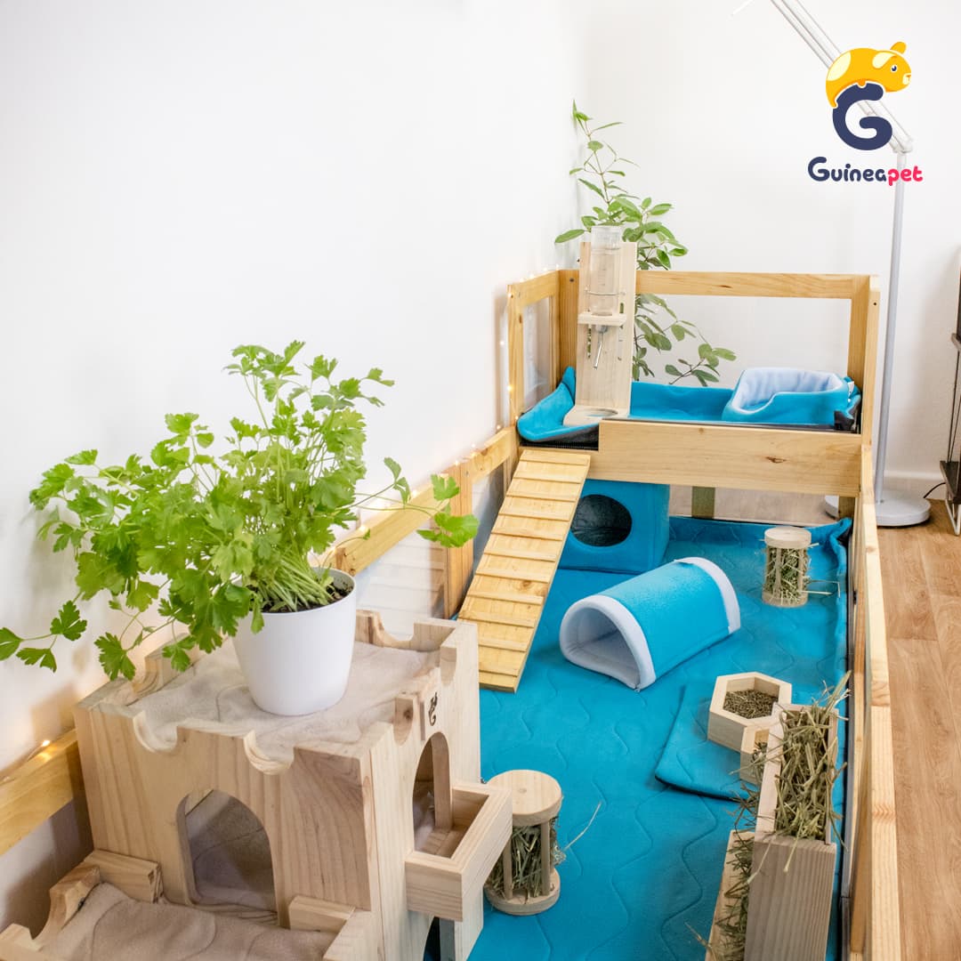 Coroplast / Correx lofts for Guineapet enclosures