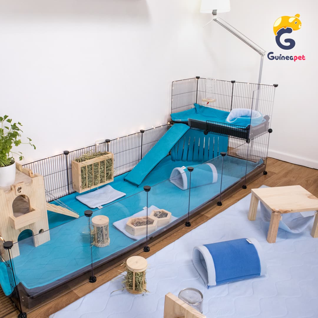 Coroplast / Correx lofts for Guineapet enclosures