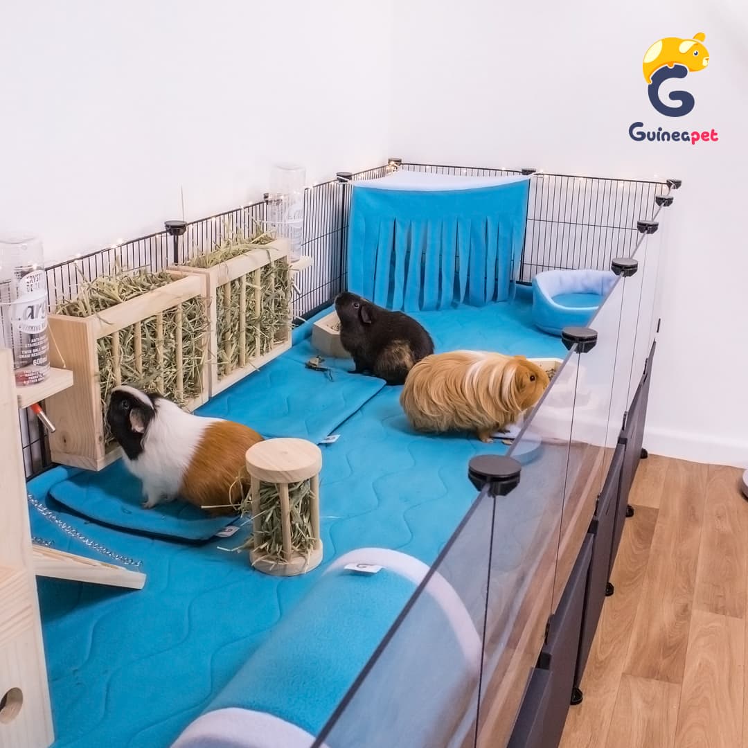 2 Coroplast / Correx bases for Guineapet enclosures