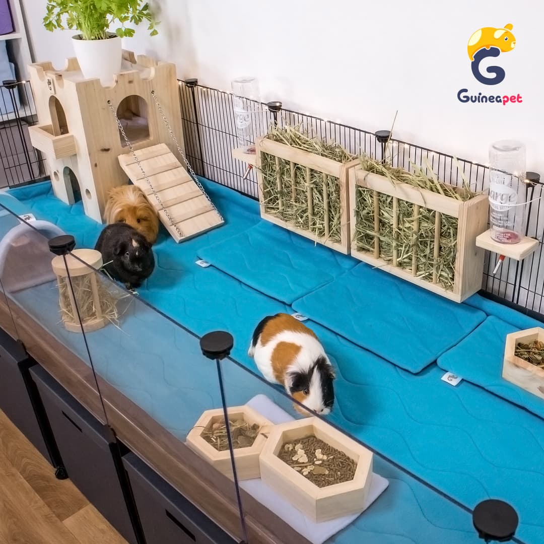 Clear Panels for Guineapet C&C Enclosures