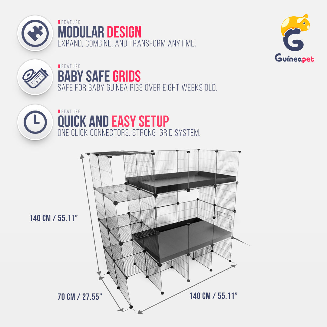 Doppio contenitore C&C trasparente 2X3 con supporto e contenitore