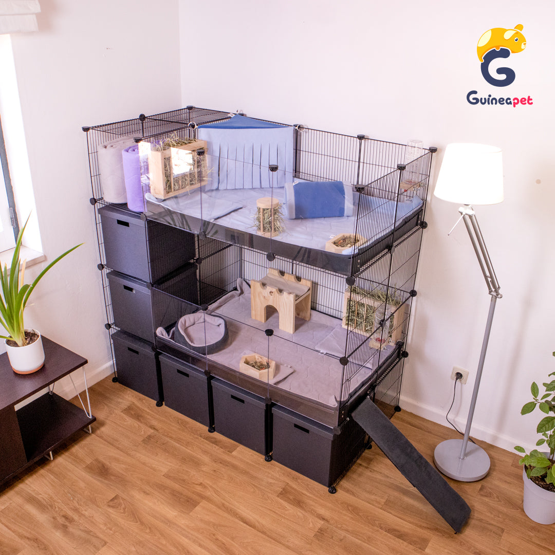 Doppio contenitore C&C trasparente 2X3 con supporto e contenitore
