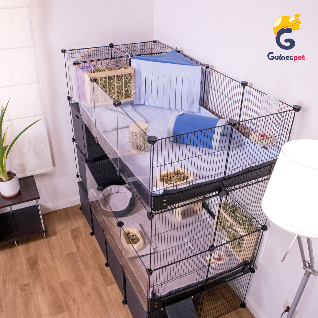 Doppio contenitore C&C trasparente 2X3 con supporto e contenitore