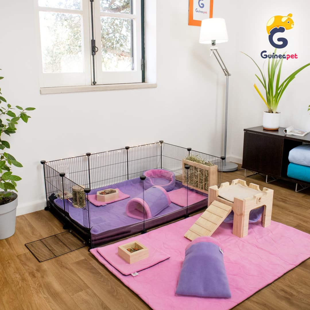 2X3 Transparent C&C Enclosure