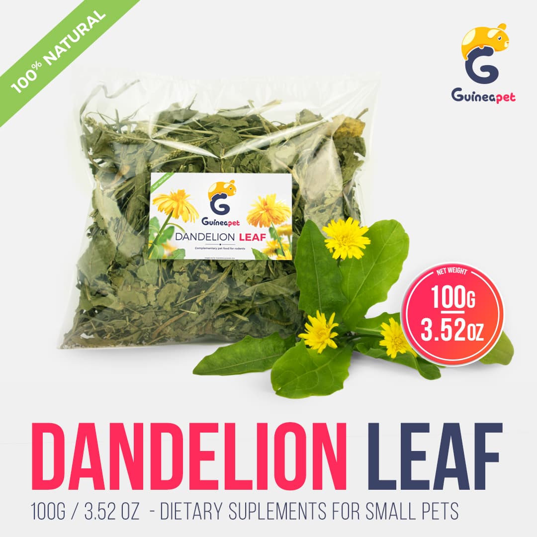 Feuille de pissenlit 100g/3,52 oz ...