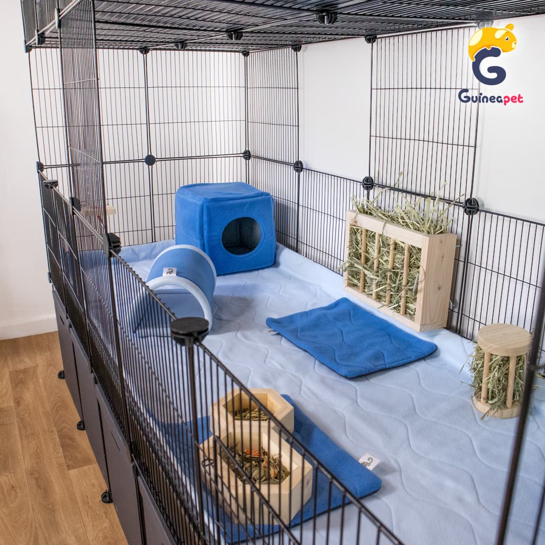 Double 2X5 <tc>C&C</tc> Boîtier avec support