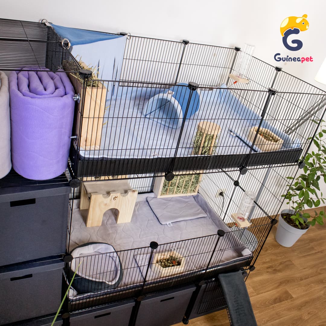 Double 2X3 C&C Enclosure with Stand and Storage