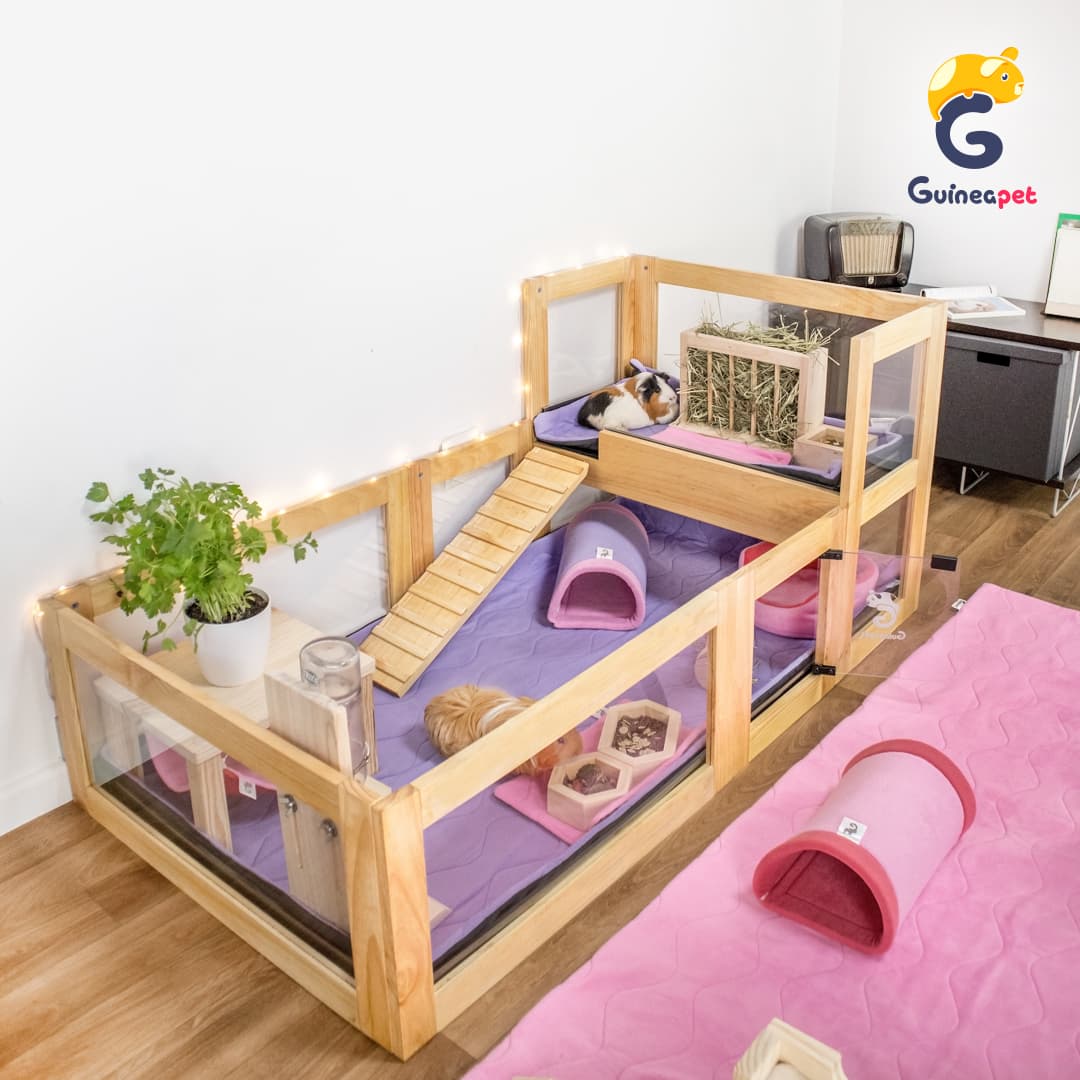 Loft Kit for Wooden Enclosures