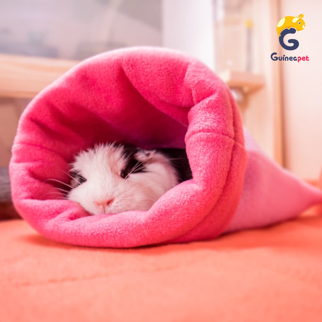 Kuscheltasche
