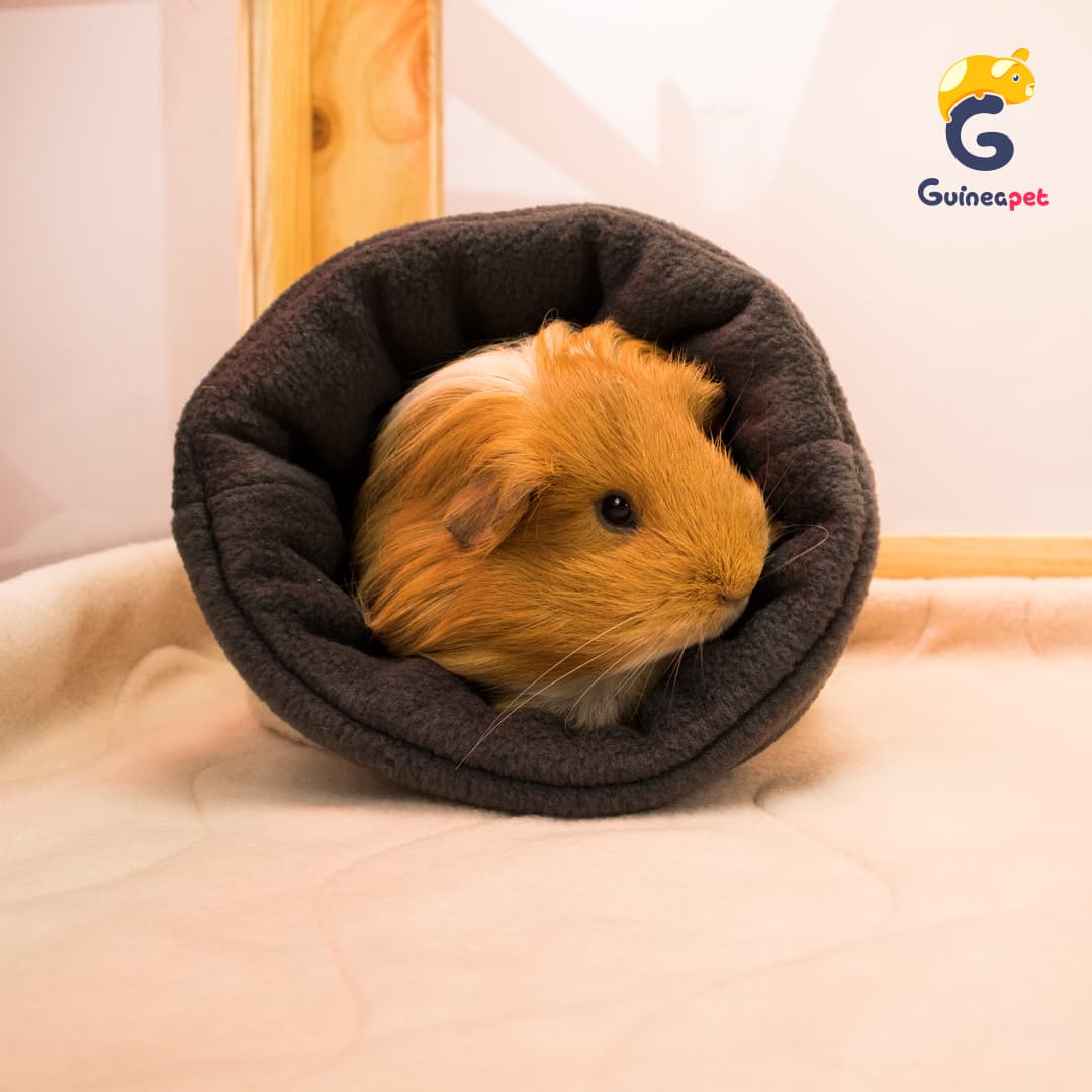 Kuscheltasche