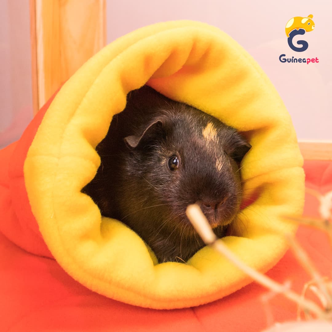 Kuscheltasche