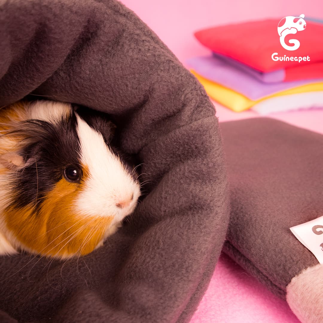 Kuscheltasche