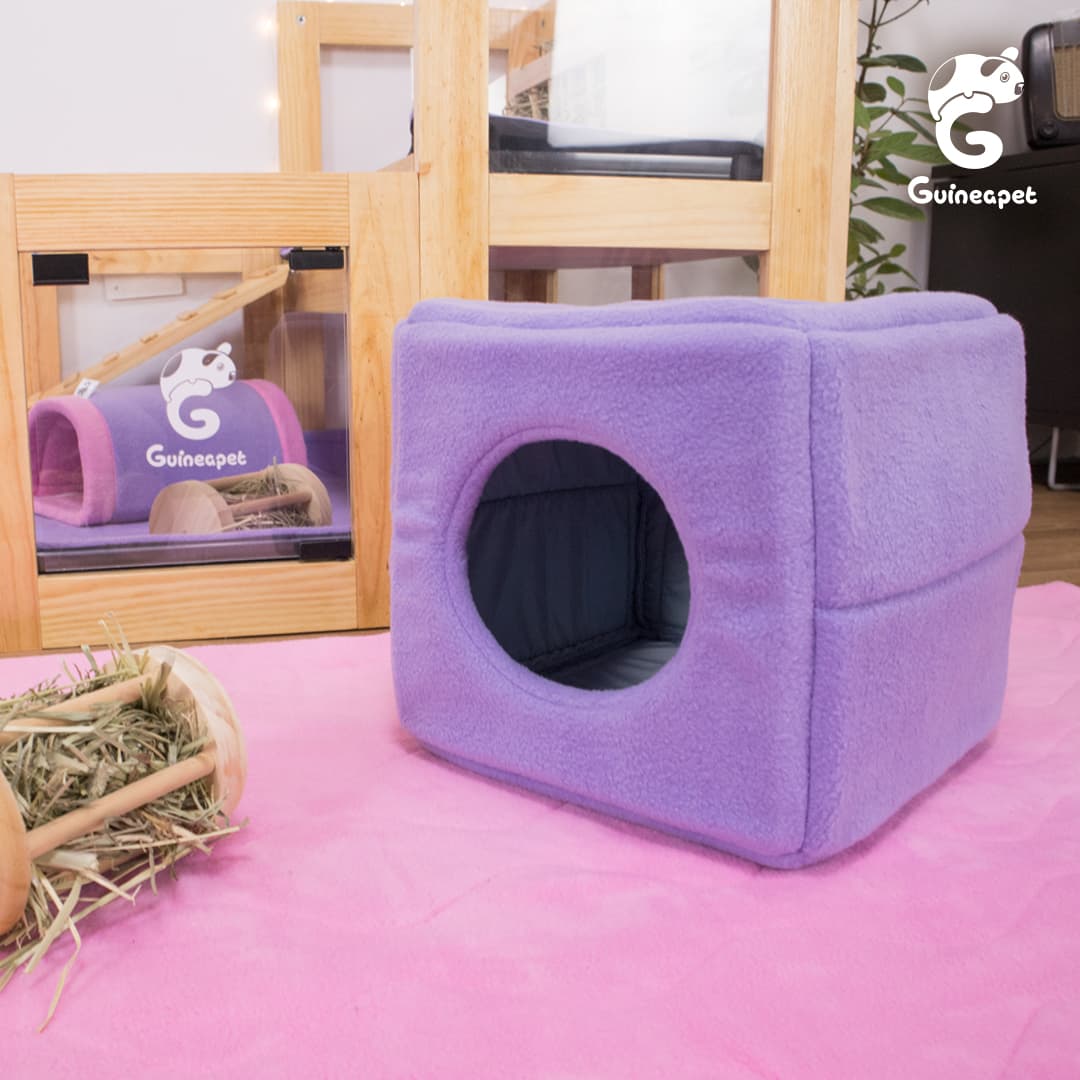 Cube House