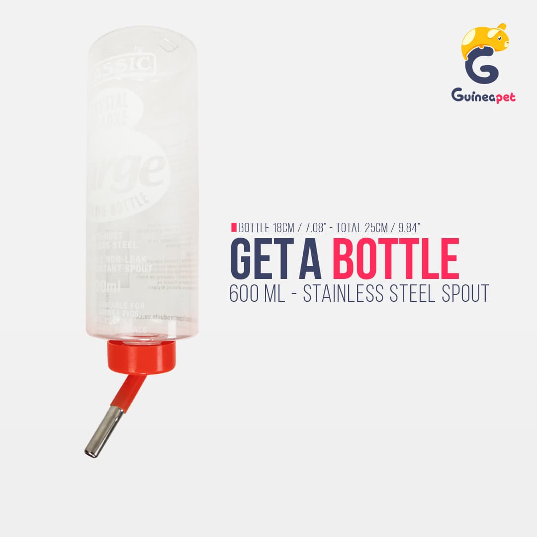 Support de bouteille réglable