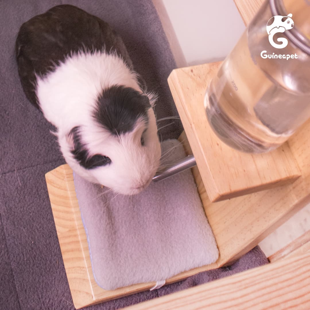 Support à bouteilles