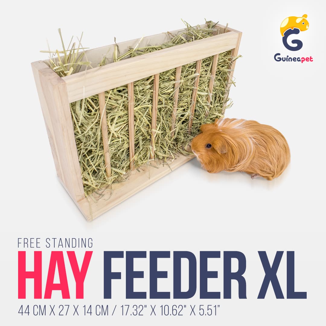 Free Standing Hay Feeder XL