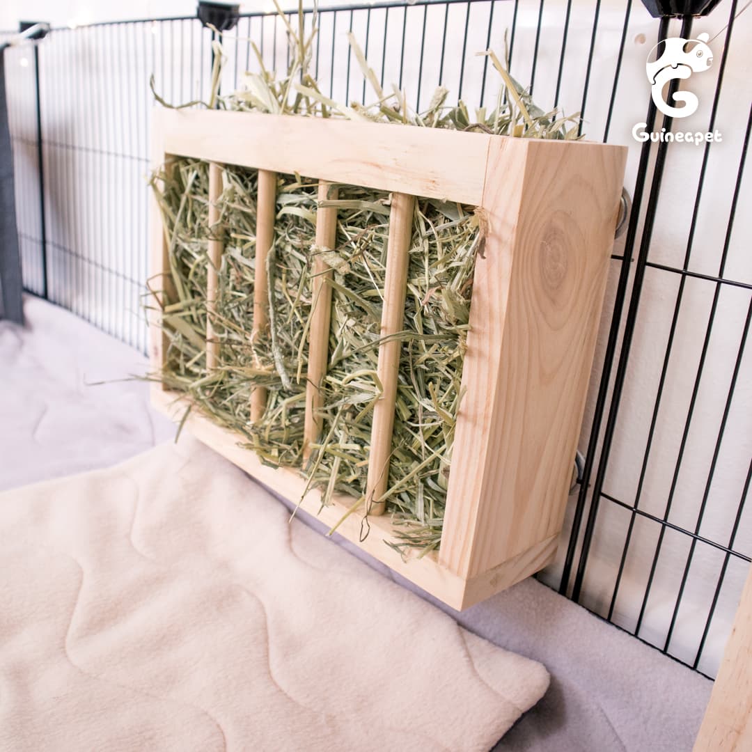Hay Feeder