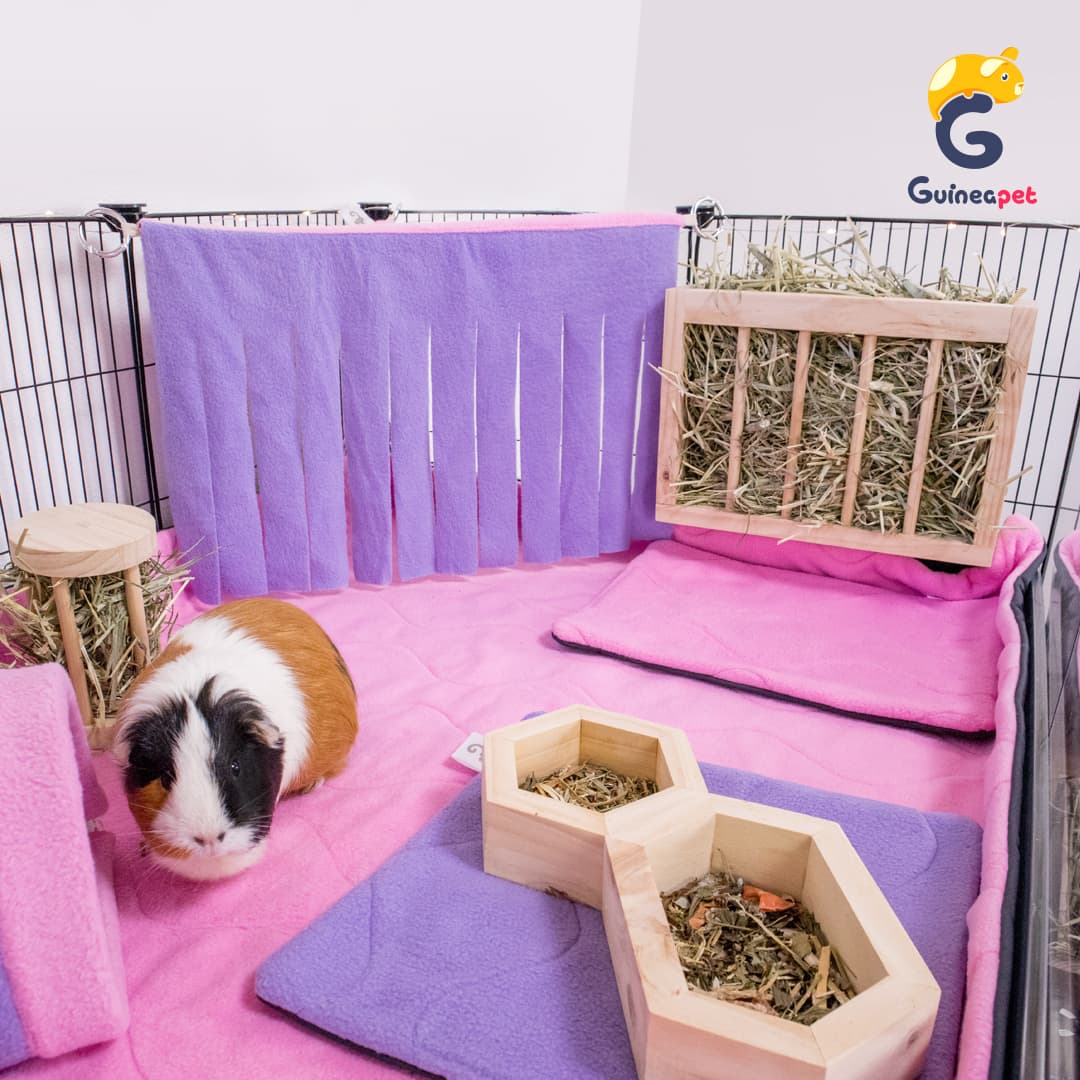 Hay Feeder
