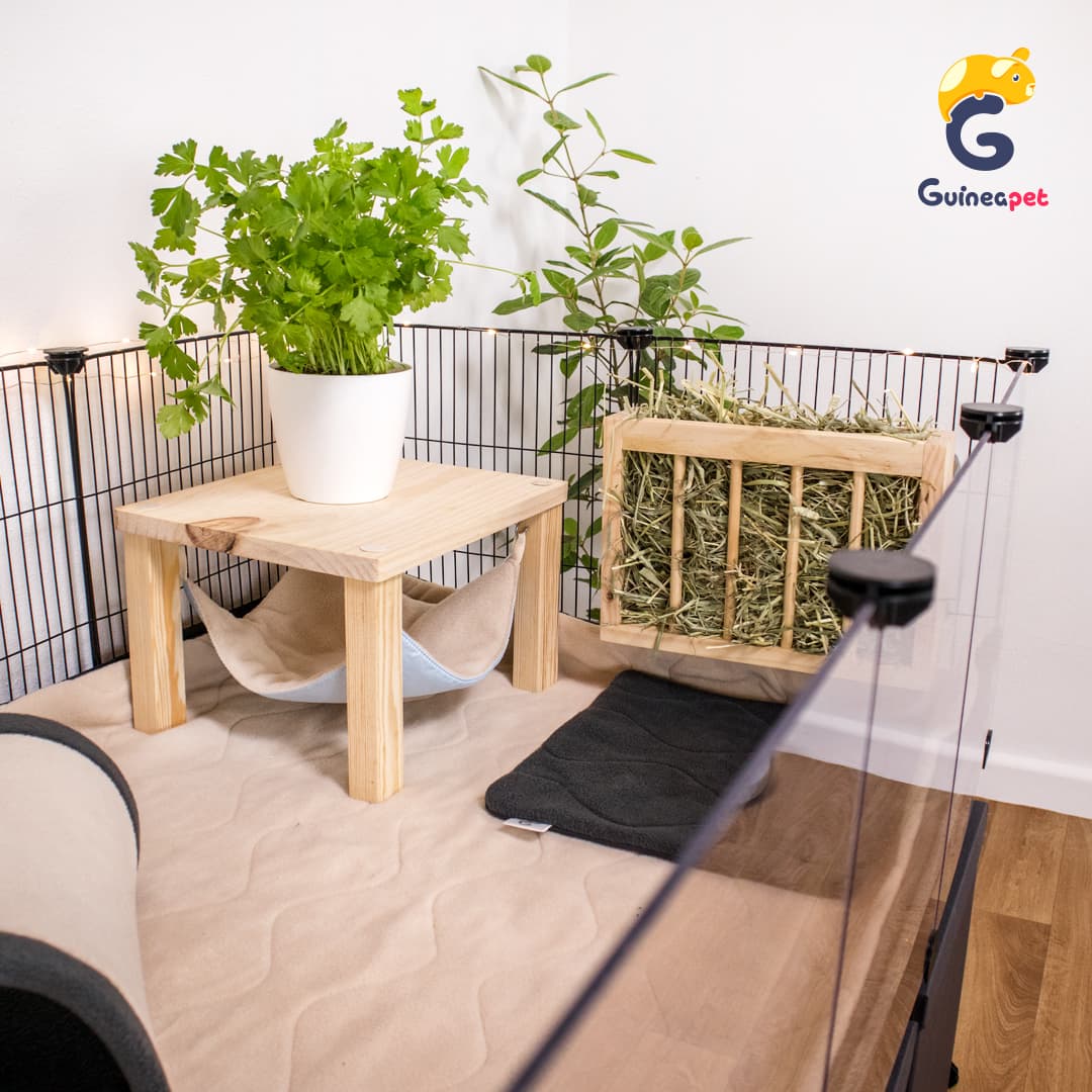 Alimentatore di fieno