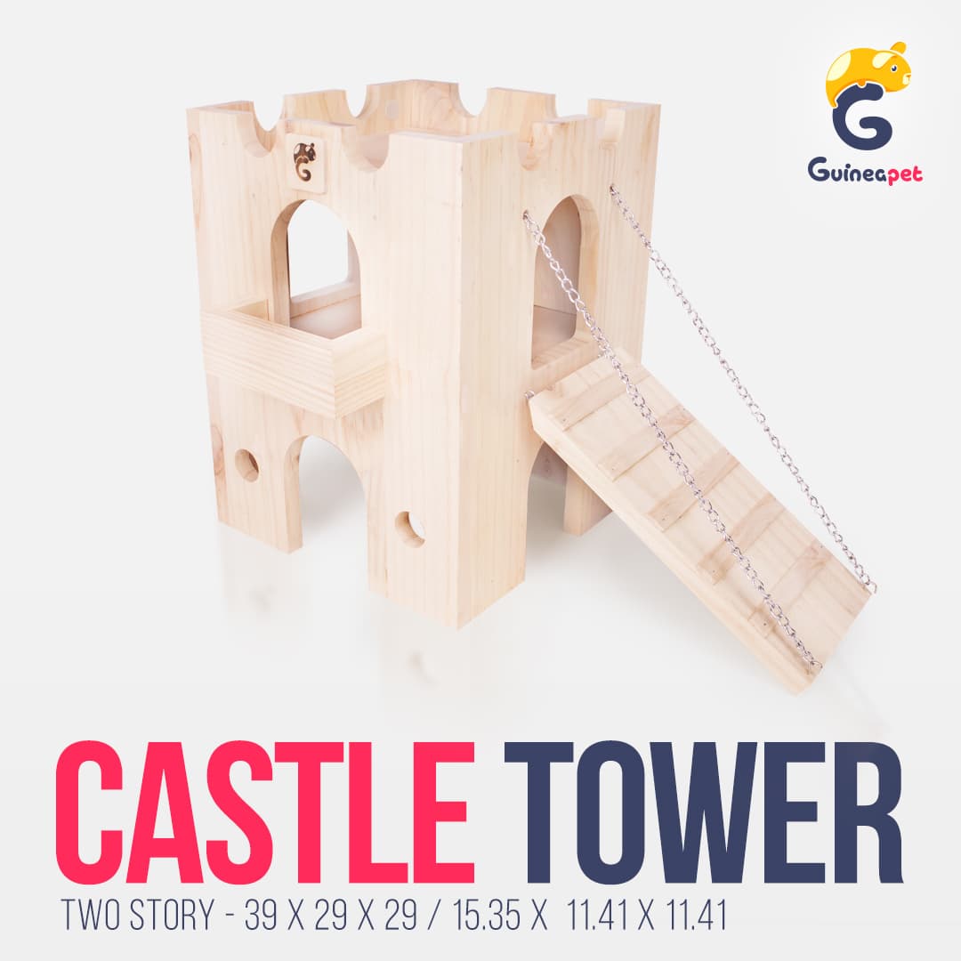 Tour du château en bois caché